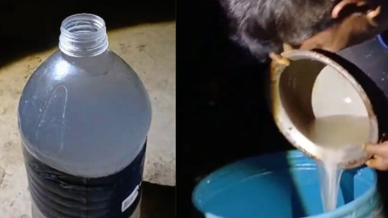 চবি ক্যাম্পাসে মদ কারখানা ও বন্যপ্রাণী শিকারের আলামত উদ্ধার